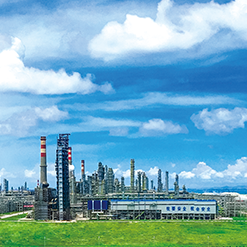 石油蝌蚪影视高清