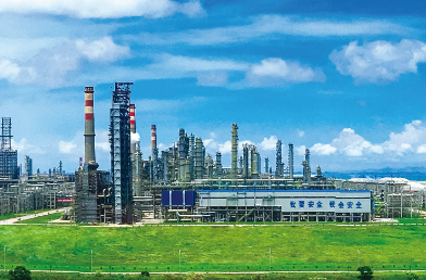 石油蝌蚪影视高清